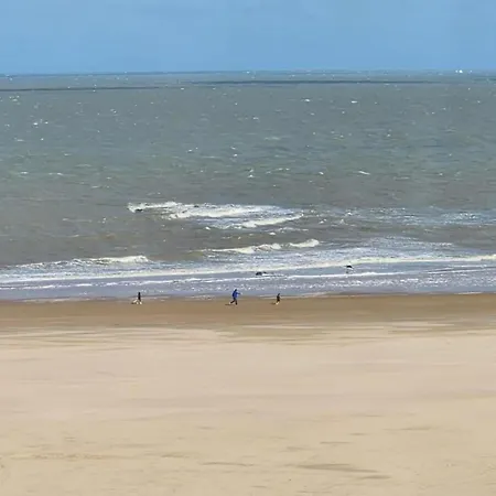 Appartement In Near The *