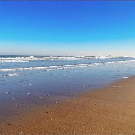 דירה In Near The קנוקה-הייסט