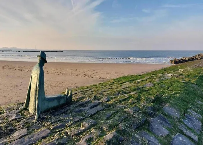 In Near The Apartamento *