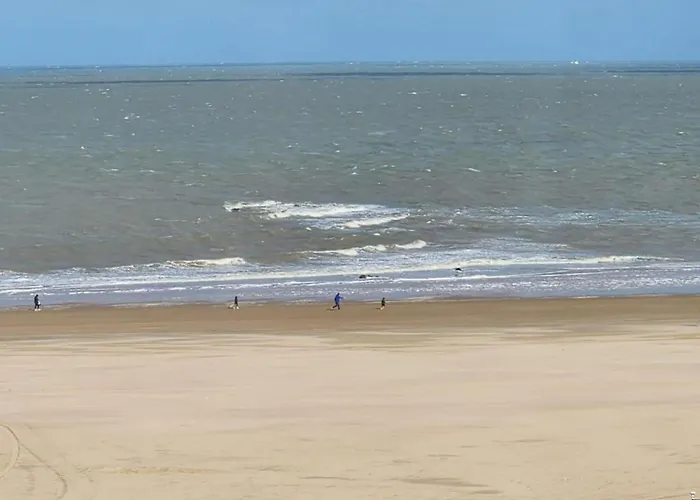 Apartamento In Near The *