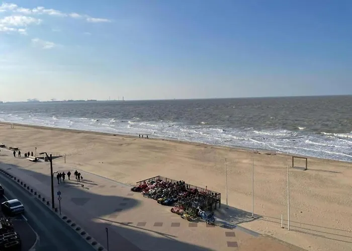 Apartamento In Near The *