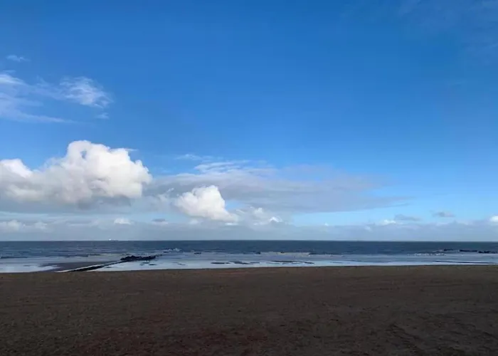 Apartamento In Near The Knokke-Heist