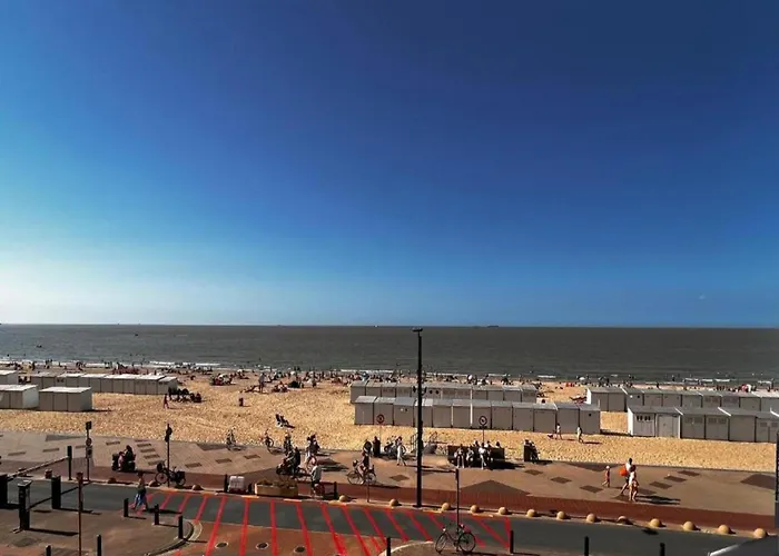 Apartamento In Near The