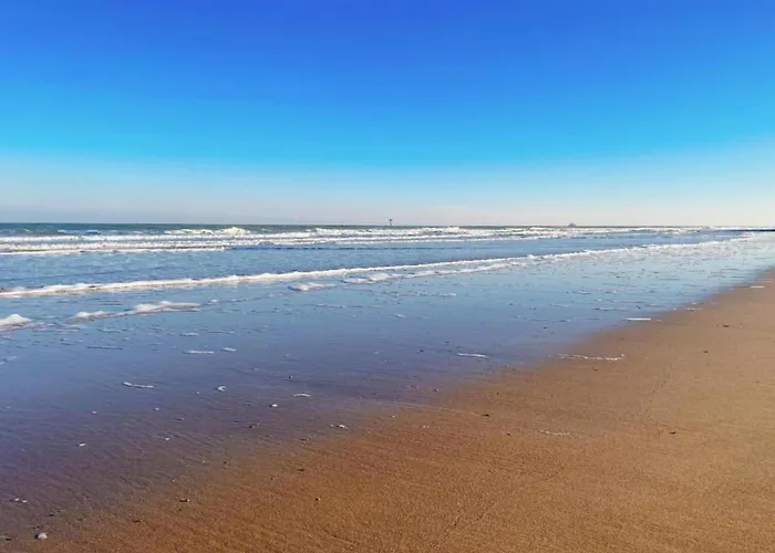 Apartamento In Near The Knokke-Heist